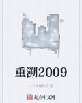 重溯2009